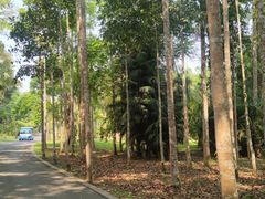 -中国科学院西双版纳热带植物园