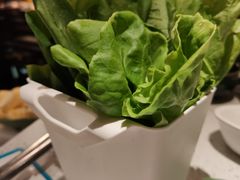 -润园四季椰子鸡火锅(海上世界店)