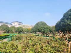 -河南省黄河迎宾馆