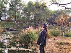 -长白岛森林公园