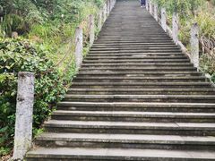 -铁山坪森林公园