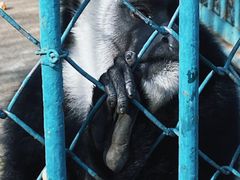 -秦皇岛野生动物园