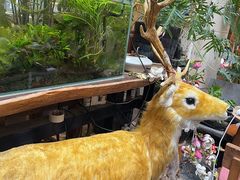 -大书房咖啡(中传国交店)