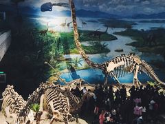 -自贡恐龙博物馆