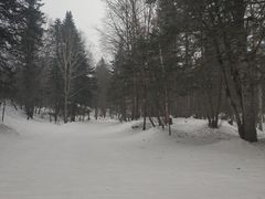 -雪谷