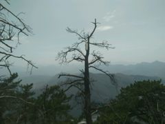 android_upload_pic-九鼎铁刹山风景区