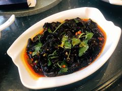 凉拌木耳-美极鲜食坊(宝安南路店)
