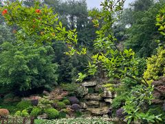 -铁山坪森林公园