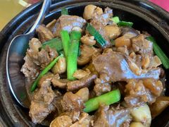 -云顶山庄·粤菜·农家菜(共和店)