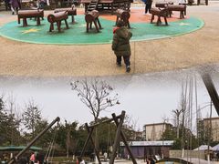 -成飞公园