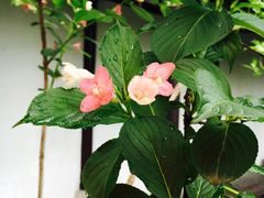 -日出青木·杭帮菜名店