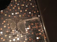 -上海柏悦酒店