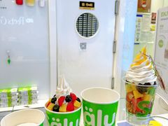 -Salud撒露欧洲冻酸奶(蓝色港湾店)