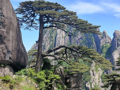 -黄山风景区