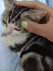 -M Nails & Beauty美甲美睫美体