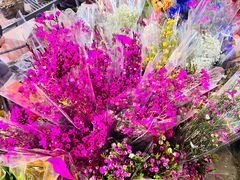 -越秀西湖花市(广州城市广场花卉店)