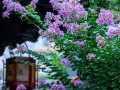 -南京民俗博物馆(甘熙故居)