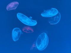 -多彩贵州城极地海洋世界