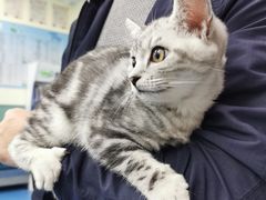 -佳怡动物医院·平价24小时·猫专科骨外科