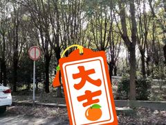 -胜华驾校·小猫学车(银都店)