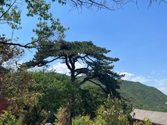 -妙峰山风景名胜区