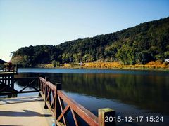 -广州市石门国家森林公园