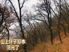 -云蒙山风景区