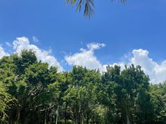-深圳湾公园(南山区)