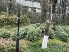 -杭州张苍水先生祠