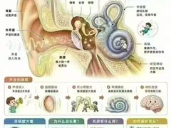 -自然之声助听器·呼吸机(康桥旗舰店)