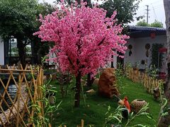 -麦园农庄·西江河鲜