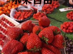 -双福水果批发市场