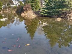 -白马涧龙池景区