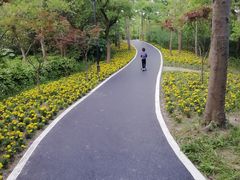 -新江湾城公园