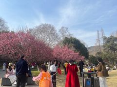 -习家池