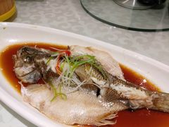 清蒸鲈鱼-金蝉食府(维吉奥广场店)
