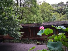 -乐领拈花溪·林涧食韵