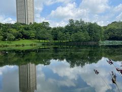 -深圳龙潭公园