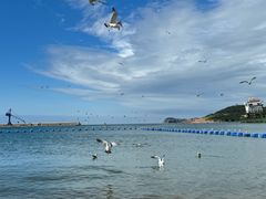 -海驴岛(荣成市)