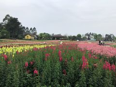 -保利石象湖景区
