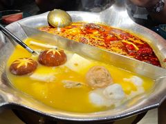 台式麻辣花胶鸡鸳鸯锅-湊湊火锅·茶憩(世博大道店)