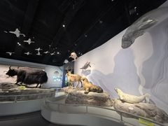 -中国湿地博物馆