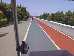 -日照海滨国家森林公园