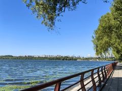 -长白岛森林公园