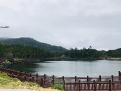 -海南热带雨林国家公园吊罗山景区