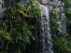 -惠州西湖丰渚园