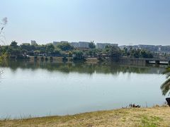 -枫香湖儿童公园