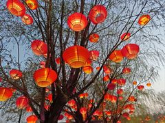 -中国翰园碑林