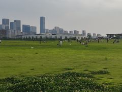 -杭州师范大学仓前新校区-体育场