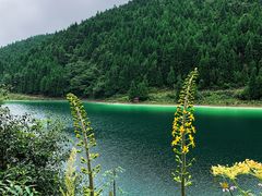 -武陵山森林公园